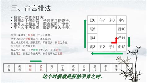 胎息八字|胎元、胎息、身宫推排法